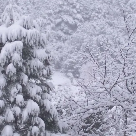 아파트 Mainades House 비티나