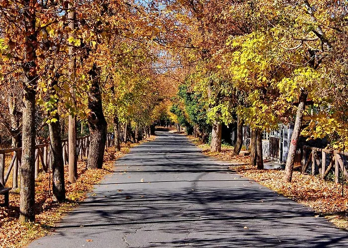 アパート Mainades House ヴィティナ